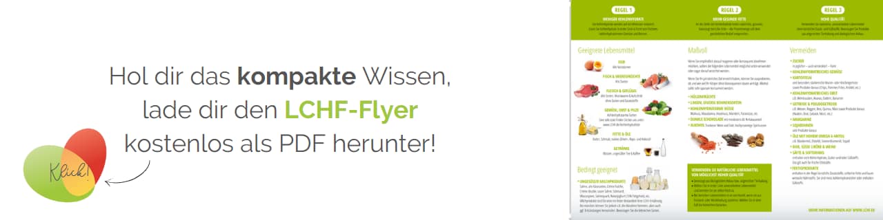 Startseite Baustein für den LCHF Flyer (1280 × 320 px)