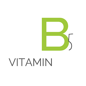 Vitamin B5 Beitrag