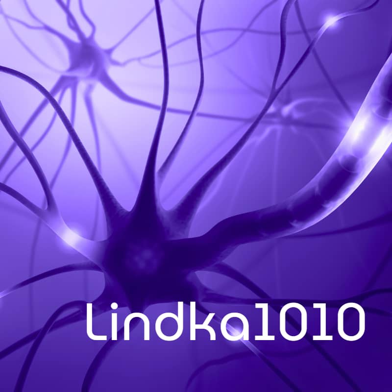 Neuronenbild Lindka1010
