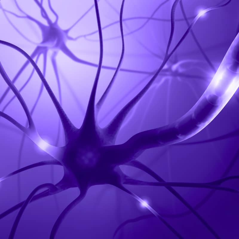 unglaubliche Tranformation Lindka1010 Neuronen