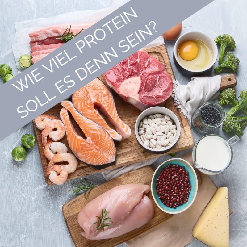 Beitragsbild Wie viel Protein soll es denn sein
