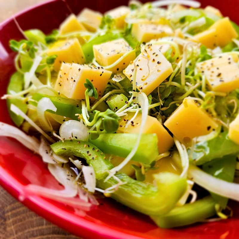 Käse-Paprika-Sprossen-Salat in roter Höganäs Keramik Schüssel